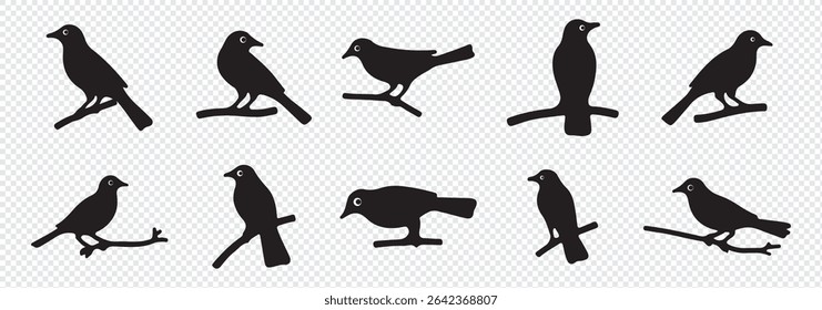 Vector set of bird silhouettes. Birds silhouette different vector illustrations.