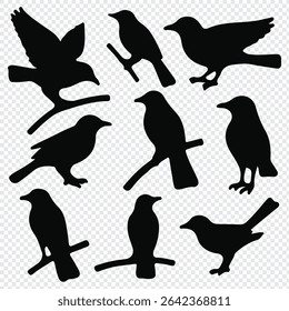 Vector set of bird silhouettes. Birds silhouette different vector illustrations.