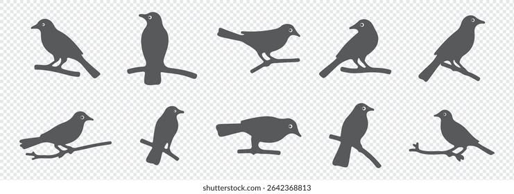 Vector set of bird silhouettes. Birds silhouette different vector illustrations.