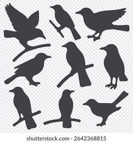 Vector set of bird silhouettes. Birds silhouette different vector illustrations.