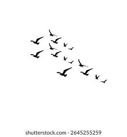 Vector set of bird silhouettes in flight, depicting a graceful flock against a clean white background. Ideal for tattoo designs, wall art, or nature-inspired projects, capturing the elegance.