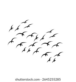 Vector set of bird silhouettes in flight, depicting a graceful flock against a clean white background. Ideal for tattoo designs, wall art, or nature-inspired projects, capturing the elegance.