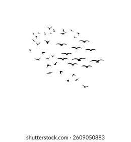 A vector set of bird silhouettes on a white background, ideal for tattoos or art, showcasing elegance.