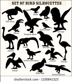 Vector set of bird silhouettes with titles