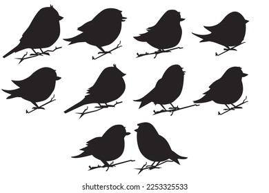 Vektorset für Vogelschmuck im flachen Stil, verschiedene Stile und Formen stehen auf einem Ast, Vogelvektorebene einzeln auf weißem Hintergrund