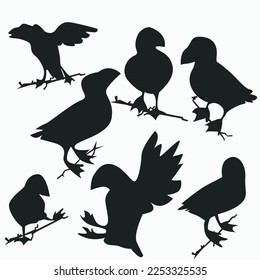 vector set of bird sillhouette in flat style various styles and shapes are perched on a branch, bird vector flat isolated on white background