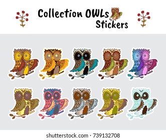 Vector set of bird stickers, icons, element for design. Cartoon hand drawn smart owl with branch. Ornate sketch forest animals in different color palette. Printable illustration, clip art