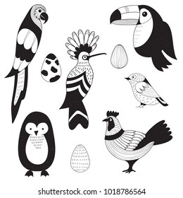 Vector set: birds and eggs. Parrot, toucan, hoopoe, rooster, penguin, sparrow. Scandinavian style.