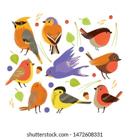 vector set with birds and elements of forest plants. autumn time. cute tit, sparrow, swallow, bullfinch, early bird