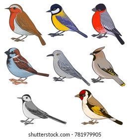 vector set of birds, hand drawn songbirds, isolated vector elements
