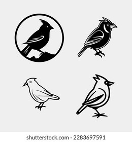 conjunto vectorial de aves aisladas en fondo blanco