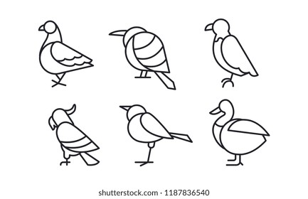 Vector set of birds in linear style. Pigeon, sparrow, eagle, parrot, duck and colibri