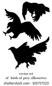 vector set with birds of prey silhouettes