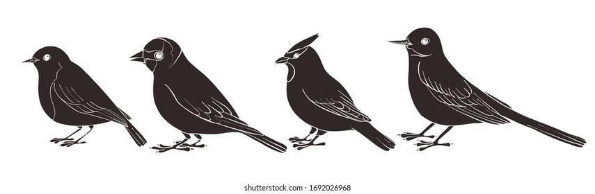 conjunto vectorial de siluetas de aves, aves cantoras dibujadas a mano, elementos vectoriales aislados
