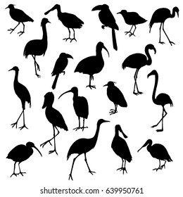 vector set of birds silhouettes, hand drawn cranes, flamingos and herons, isolated vector elements