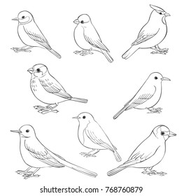 vector set of birds silhouettes, hand drawn songbirds, isolated vector elements