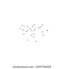 A vector set of birds soaring elegantly in the sky, isolated on a white background. Perfect for design elements, artwork, and patterns, capturing the beauty of flight and freedom.