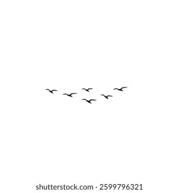 A vector set of birds soaring elegantly in the sky, isolated on a white background. Perfect for design elements, artwork, and patterns, capturing the beauty of flight and freedom.