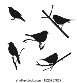 Vector set of birds and twigs. Decorative silhouette of birds sitting on tree branches. Flying birds