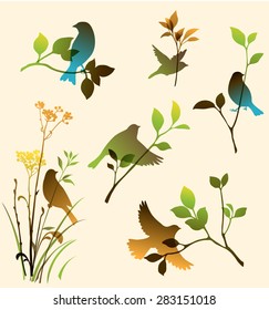 Vector set of birds and twigs. Decorative nature elements