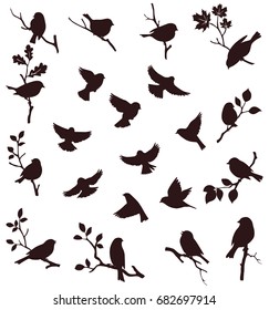 Vector set of birds and twigs. Decorative bird silhouette 