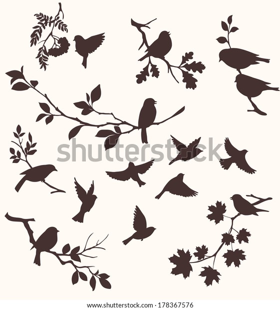 鳥と小枝のベクター画像セット 木の枝にすわる鳥の装飾的なシルエット オーク カエデ 樺 ローワンなど 飛ぶ鳥 のベクター画像素材 ロイヤリティフリー