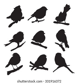 Vector set of birds for your design