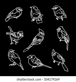 Vector set of birds for your design