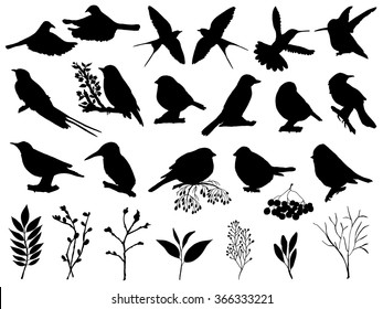 Vector set of birds for your design. Sketch of birds, hand-drawn.
