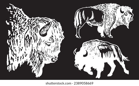 Vector set of  bisons on black,graphical illustration. Bull