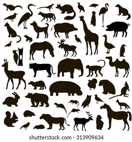 Vector Set of Black Animals and Birds Silhouettes. Hand drawn vector illustration.