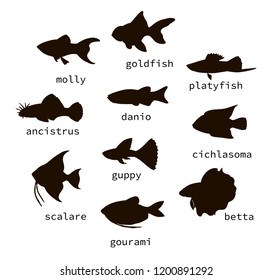 Vector set of black aquarium fish silhouettes with text. Collection of isolated on white background monochrome molly, guppy, platyfish, goldfish, danio, scalare, cichlasoma, ancistrus, gourami.