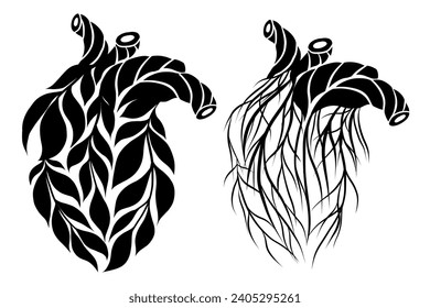 Vector set of black cliparts of healthy and unhealthy human hearts made of leaves and twigs isolated from background. Collection of old and young organ transplant silhouette