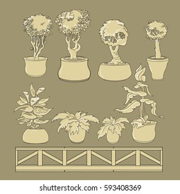 Vector set of black doodle hand drawn line art house plants in ceramic pots on taupe. Flowers for interior and  garden backgrounds, floral design.