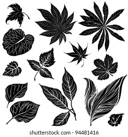 Vector set of black floral design elements - leafs