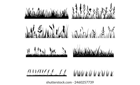 Conjunto de Vector de siluetas de hierba negra sobre fondo blanco. Ilustración de Naturaleza diseño de verano y botánica Horizontal de jardín. Flor de prado recortada y boceto de paisaje orgánico. Dibujo de elemento de borde