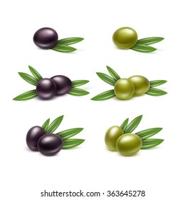 Vector Set of Black and Green Olives Branches with Leaves Isolated on White Background