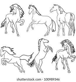 Vector set. Black horse silhouette isolated on white for design.