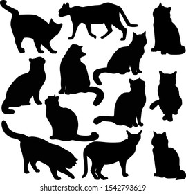 Vector set of black icons of cats standing and sitting in different poses isolated on a white background