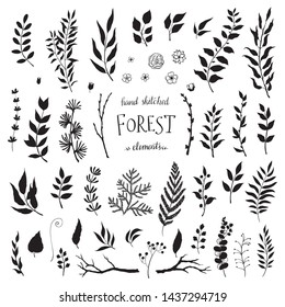 Vector Set of black leaves - herbs and leaf silhouette. Collection garden, wild foliage, flowers and branches. Illustration isolated on white background.