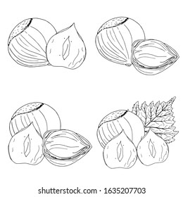 Vector set of black line hand drawn hazelnuts isolated on white background. Design for farmer market, organic products or chocolate packing. 