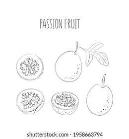 Vector set of black line passion fruit, passionfruit, maracuya purple colors. Whole and cut pieces on a white background.