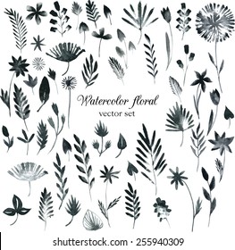 vector set of black monochrome watercolor floral hand drawn elements 