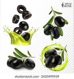 Conjunto vectorial de aceitunas negras en una rama. Trozos de aceitunas cayendo en una transparente salpicadura de aceite. Ilustraciones de alimentos realistas 3D para el diseño de envases y publicidad