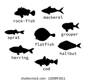 Vector set of black sea fish silhouettes with text. Collection of isolated on white background monochrome halibut, animal,rock-fish, mackerel, herring, flatfish, sprat, grouper, cod,perch,redfish,bass