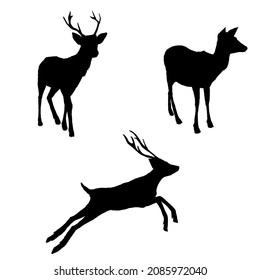 Vector Set of Black Silhouette Deer Illusrations