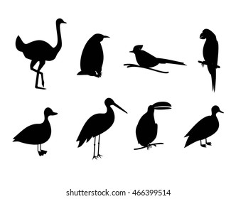 Vector set of black silhouette different  birds. Set of black birds icons of ostrich, penguin, nightingale, duck, stork, toucan, parrot, goose.