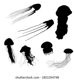 Vector Set of Black Silhouette Jellyfishes