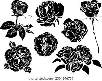 Vector set of black silhouette rose flowers with leaves and stems isolated on white background