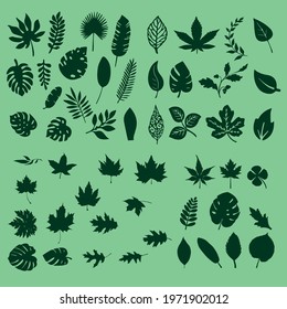 Vector set of black silhouette tropical leaves. Pack of flat floral elements. Monstera, banana, palm leaf isolated on white background. Hand drawn foliage.